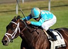Is Bittel Road capable of upsetting the Robert B. Lewis Stakes?