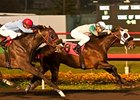 Weewinnin tries two turns in the California Breeders Champion Stakes.