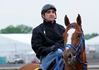 Summer Bird<br><a target="blank" href="http://www.bloodhorse.com/horse-racing/photo-store?ref=http%3A%2F%2Fpictopia.com%2Fperl%2Fgal%3Fprovider_id%3D368%26ptp_photo_id%3D8057492%26ref%3Dstory">Order This Photo</a>