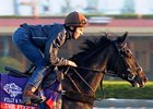 The Fugue, Other Euros Put in BC Gallops The Fugue, Other Euros Put in BC Gallops
