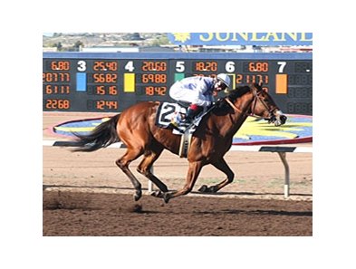 Harissa pulled away to win the Sunland Park Oaks in New Mexico.