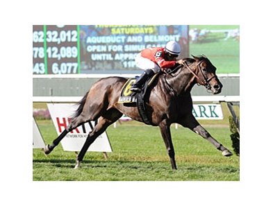 Naples Bay streaks home to win the Noble Damsel.<br><a target="blank" href="http://photos.bloodhorse.com/AtTheRaces-1/at-the-races-2012/22274956_jFd5jM#!i=2088805952&k=TPdRSRH">Order This Photo</a>