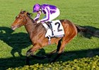 Together captures the Queen Elizabeth II Challenge Cup at Keeneland.<br><a target="blank" href="http://www.bloodhorse.com/horse-racing/photo-store?ref=http%3A%2F%2Fpictopia.com%2Fperl%2Fgal%3Fprovider_id%3D368%26ptp_photo_id%3D9708619%26ref%3Dstory">Order This Photo</a>