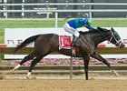 Love and Pride and Jeremy Rose streak to the win in the Obeah at Delaware Park.
