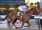 Gotham winner Awesome Act<br><a target="blank" href="http://www.bloodhorse.com/horse-racing/photo-store?ref=http%3A%2F%2Fpictopia.com%2Fperl%2Fgal%3Fprovider_id%3D368%26ptp_photo_id%3D8825559%26ref%3Dstory">Order This Photo</a>