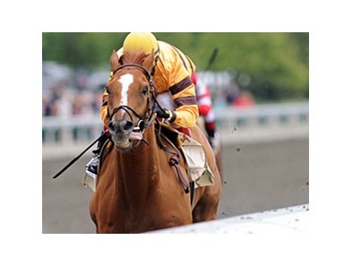 Wise Dan