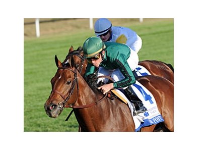 Gio Ponti
<br><a target="blank" href="http://www.bloodhorse.com/horse-racing/photo-store?ref=http%3A%2F%2Fpictopia.com%2Fperl%2Fgal%3Fprovider_id%3D368%26ptp_photo_id%3D9226144%26ref%3Dstory">Order This Photo</a>