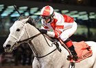 Joyful Victory won the Houston Ladies Classic on Jan. 26 by 4 1/2 lengths.