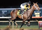 Uh Oh Bango Named Iowa Horse of the Year Uh Oh Bango Named Iowa Horse of the Year