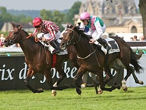 Clear 'Vision' in Prix du Jockey-Club Clear 'Vision' in Prix du Jockey-Club