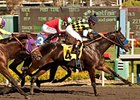 Carving gets up late to win the Real Quiet Stakes at Betfair Hollywood Park Nov. 10.