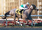 Informed Decision pulls away to win the Windward Stakes under Julien Leparoux.