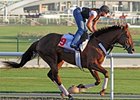 Fly Down at Meydan Race Course.