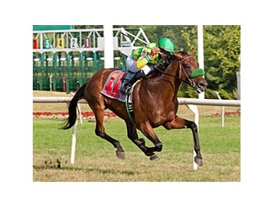 Ioya Bigtime upsets the Stars and Stripes at Arlington Park.