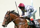 The Wow Signal <br><a target="blank" href="http://photos.bloodhorse.com/AtTheRaces-1/At-the-Races-2014/i-5VPMtnz">Order This Photo</a>