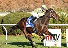 Dynamic Sky delivers victory in the Red Smith Handicap.<br><a target="blank" href="http://photos.bloodhorse.com/AtTheRaces-1/At-the-Races-2014/i-rN9m3HK">Order This Photo</a>