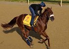 King's Bishop Winner Visionaire Retired King's Bishop Winner Visionaire Retired