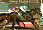 Zenyatta overtakes Switch to capture number 19.<br><a target="blank" href="http://www.bloodhorse.com/horse-racing/photo-store?ref=http%3A%2F%2Fpictopia.com%2Fperl%2Fgal%3Fprovider_id%3D368%26ptp_photo_id%3D9217803%26ref%3Dstory">Order This Photo</a>