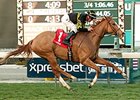 Shrinking Violet Steps Out in Monrovia Win Shrinking Violet Steps Out in Monrovia Win