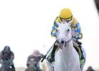 Hansen wins the 2012 Gotham Stakes.