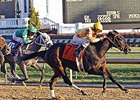 Vexed comes home strong to win the Golden Rod Stakes.