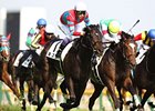 Kizuna wins the Tokyo Yushun (Japanese Derby).
<br><a target="blank" href="http://photos.bloodhorse.com/AtTheRaces-1/at-the-races-2013/27257665_QgCqdh#!i=2535751666&k=rDNDvSb">Order This Photo</a>