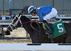Mamdooha Targets Fifth Straight in Correction Mamdooha Targets Fifth Straight in Correction