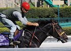 Becky's Kitten<br><a target="blank" href="http://www.bloodhorse.com/horse-racing/photo-store?ref=http%3A%2F%2Fpictopia.com%2Fperl%2Fgal%3Fprovider_id%3D368%26ptp_photo_id%3D8598918%26ref%3Dstory">Order This Photo</a>