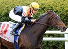 Marketing Mix heads the field for the Dance Smartly Stakes at Woodbine.