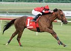 Rahystrada won last year's Colonial Turf Cup by 1 1/2 lengths.