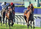 Little Mike leads the way in the Breeders' Cup Turf.<br><a target="blank" href="http://photos.bloodhorse.com/BreedersCup/2012-Breeders-Cup/Turf/26130116_ZC6sF3#!i=2192999449&k=CvcbhQf">Order This Photo</a>