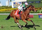 Starformer won The Very One Stakes by 3 3/4 lengths on Feb 16.