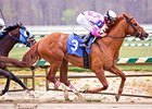 Eighttofasttocatch is the 9-5 favorite in the Maryland Million Classic at Laurel Park Oct. 6.