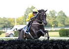 Demonstrative <br><a target="blank" href="http://photos.bloodhorse.com/AtTheRaces-1/At-the-Races-2014/i-sLxB7tk">Order This Photo</a>