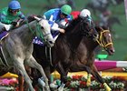 Verxina wins the Victoria Mile in Japan.