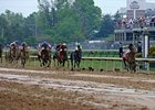 Mine That Bird leaves the rest behind in the Kentucky Derby.<br><a target="blank" href="http://www.bloodhorse.com/horse-racing/photo-store?ref=http%3A%2F%2Fpictopia.com%2Fperl%2Fgal%3Fprovider_id%3D368%26ptp_photo_id%3D8064024%26ref%3Dstory">Order This Photo</a>