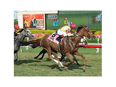 Two-time graded stakes winner Hooh Why runs in the Lady Canterbury Stakes.