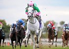 Discreet Marq
<br><a target="blank" href="http://photos.bloodhorse.com/AtTheRaces-1/At-the-Races-2014/i-RVHM8kx">Order This Photo</a>