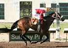 Peppers Pride will seek her 17th win in a row, if the weather stays dry.