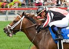 Signature Red winning the Highlander Stakes.