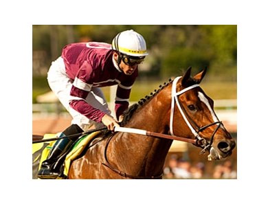Tapizar faces 7, including Prayer for Relief, in the San Fernando.