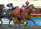 D' Funnybone won the Hutcheson last month at Gulfstream.<br><a target="blank" href="http://www.bloodhorse.com/horse-racing/photo-store?ref=http%3A%2F%2Fpictopia.com%2Fperl%2Fgal%3Fprovider_id%3D368%26ptp_photo_id%3D8802754%26ref%3Dstory">Order This Photo</a>