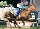 Proceed Bee is the only previous stakes winner in the John B. Connally Turf Cup Stakes.