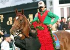 Animal Kingdom<br><a target="blank" href="http://www.bloodhorse.com/horse-racing/photo-store?ref=http%3A%2F%2Fpictopia.com%2Fperl%2Fgal%3Fprovider_id%3D368%26ptp_photo_id%3D9517754%26ref%3Dstory">Order This Photo</a>
