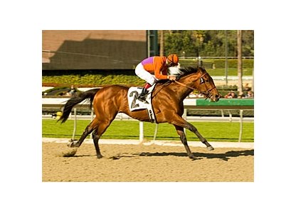 Crown of Thorns is seeking his first win since the 2008 Robert B. Lewis Stakes.<br><a target="blank" href="http://www.bloodhorse.com/horse-racing/photo-store?ref=http%3A%2F%2Fpictopia.com%2Fperl%2Fgal%3Fprovider_id%3D368%26ptp_photo_id%3D3474641%26ref%3Dstory">Order This Photo</a>