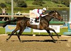 Double Trouble Retired Double Trouble Retired