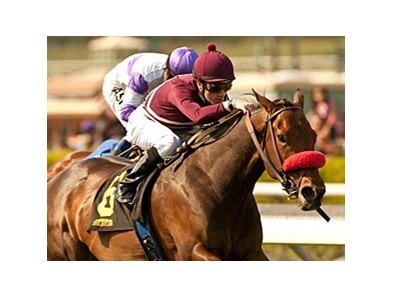 Tiz Flirtatious faces 4 in the John C. Mabee Stakes.
