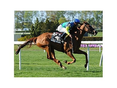 Dayatthespa wins the You Go West Girl Stakes.
<br><a target="blank" href="http://photos.bloodhorse.com/AtTheRaces-1/at-the-races-2013/27257665_QgCqdh#!i=2495123999&k=TLttFsz">Order This Photo</a>