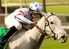 Champion Stardom Bound faces 9 in the Santa Anita Oaks.<br><a target="blank" href="http://www.bloodhorse.com/horse-racing/photo-store?ref=http%3A%2F%2Fpictopia.com%2Fperl%2Fgal%3Fprovider_id%3D368%26ptp_photo_id%3D7685870%26ref%3Dstory">Order This Photo</a>