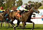 Leroy's Dynameaux holds off favored Bogie by a neck to win the Will Rogers Stakes at Hollywood Park. <br><a target="blank" href="http://www.bloodhorse.com/horse-racing/photo-store?ref=http%3A%2F%2Fpictopia.com%2Fperl%2Fgal%3Fprovider_id%3D368%26ptp_photo_id%3D9074386%26ref%3Dstory">Order This Photo</a>